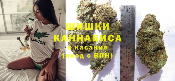 PSILOCYBIN Алексин