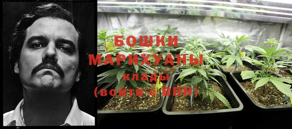 PSILOCYBIN Алексин