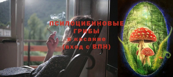 спайс Инта