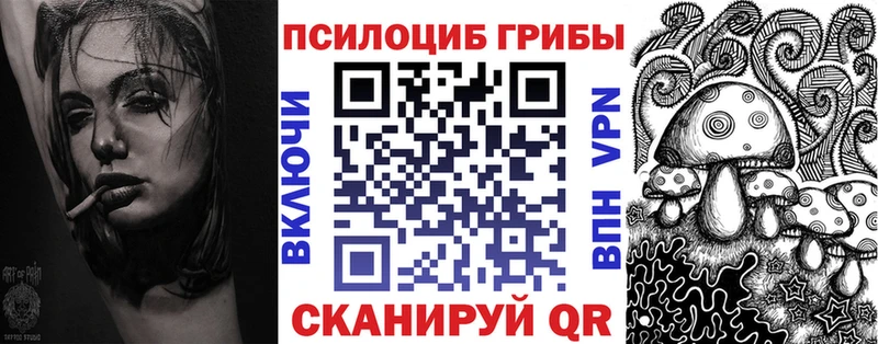 как найти   Новошахтинск  Галлюциногенные грибы мицелий 